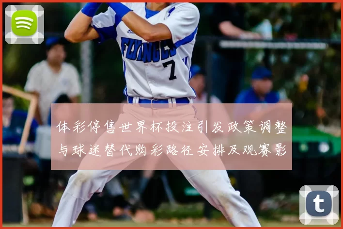 体彩停售世界杯投注引发政策调整与球迷替代购彩路径安排及观赛影响
