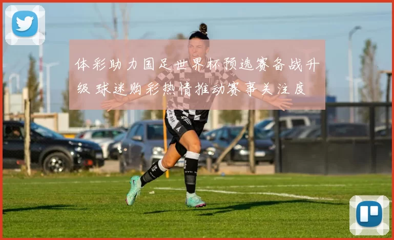 体彩助力国足世界杯预选赛备战升级 球迷购彩热情推动赛事关注度