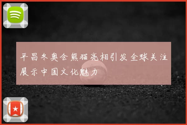 平昌冬奥会熊猫亮相引发全球关注展示中国文化魅力