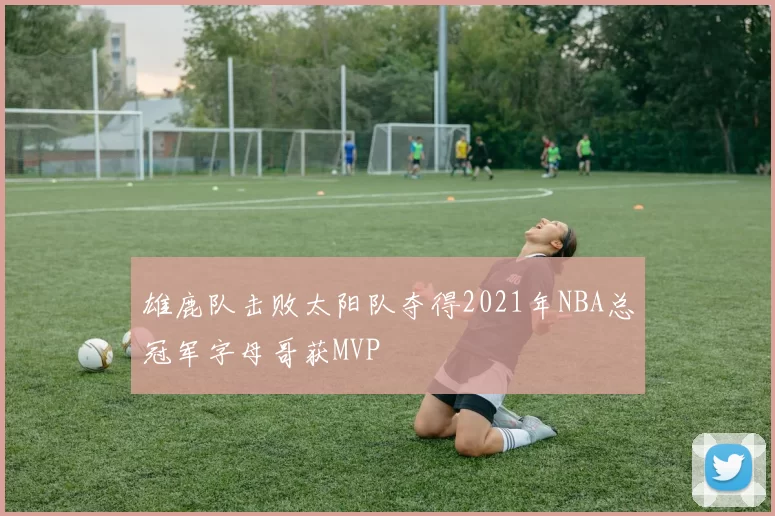 雄鹿队击败太阳队夺得2021年NBA总冠军字母哥获MVP