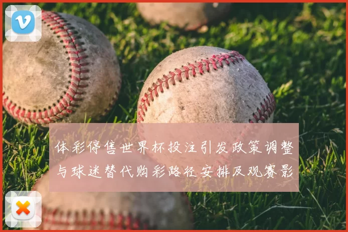 体彩停售世界杯投注引发政策调整与球迷替代购彩路径安排及观赛影响