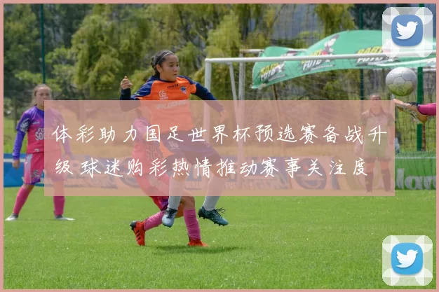 体彩助力国足世界杯预选赛备战升级 球迷购彩热情推动赛事关注度