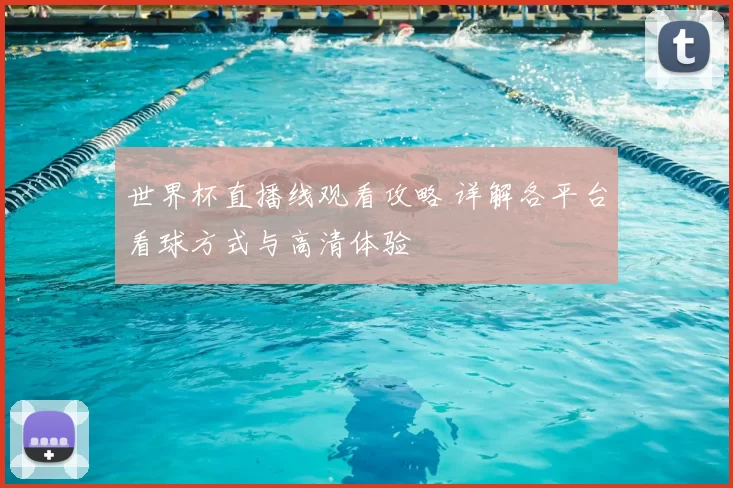 世界杯直播线观看攻略 详解各平台看球方式与高清体验